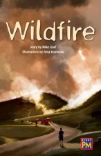 Wildfire!: Leveled Reader Ruby Level 28