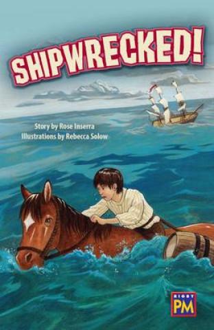 Shipwrecked!: Leveled Reader Ruby Level 28