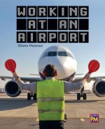 Working at an Airport: Leveled Reader Sapphire Level 29