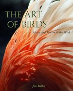 Art of Birds