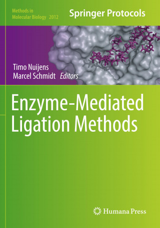 Enzyme-Mediated Ligation Methods
