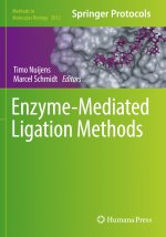 Enzyme-Mediated Ligation Methods