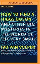 How to Find a Higgs Boson: And Other Big Mysteries in the World of the Very Small