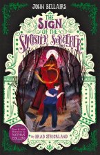 Sign of the Sinister Sorcerer - The House With a Clock in Its Walls 12