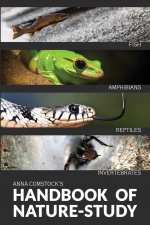 Handbook Of Nature Study in Color - Fish, Reptiles, Amphibians, Invertebrates