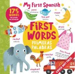 Book of Words - Libro de Palabras: More Than 100 Words to Learn in Spanish!