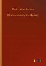 Gleanings Among the Sheaves