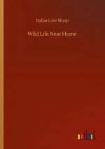 Wild Life Near Home