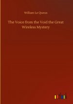 Voice from the Void the Great Wireless Mystery