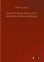 Sant of the Secret Service Some Revelations of Spies and Spying