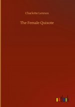 Female Quixote