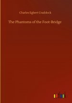 Phantoms of the Foot-Bridge