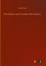Revolution and Counter-Revolution