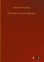 Descriptive Zoopraxography
