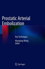 Prostatic Arterial Embolization