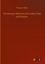 Picturesque Sketches of London, Past and Present