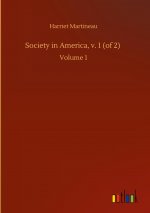 Society in America, v. 1 (of 2)