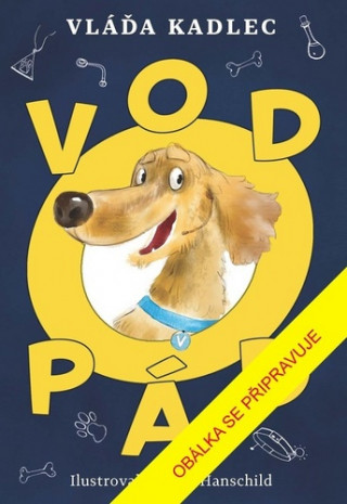 Vodopád