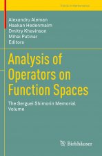 Analysis of Operators on Function Spaces