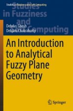Introduction to Analytical Fuzzy Plane Geometry