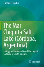 Mar Chiquita Salt Lake (Cordoba, Argentina)
