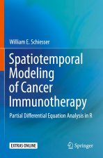 Spatiotemporal Modeling of Cancer Immunotherapy