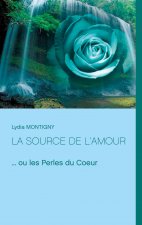 source de l'amour