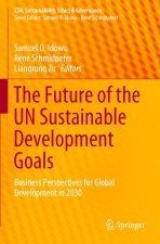 Future of the UN Sustainable Development Goals