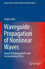 Waveguide Propagation of Nonlinear Waves