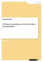 IT-Projektcontrolling in einem hybriden Projektumfeld