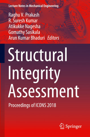 Structural Integrity Assessment