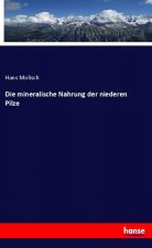 Die mineralische Nahrung der niederen Pilze