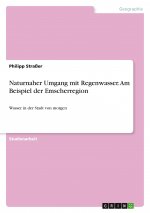 Naturnaher Umgang mit Regenwasser. Am Beispiel der Emscherregion