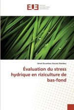 Evaluation du stress hydrique en riziculture de bas-fond