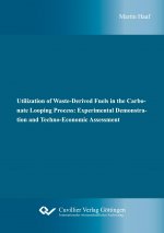 Utilization of Waste-Derived Fuels in the Carbonate Looping Process