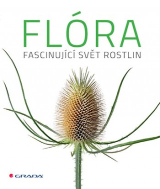 Flóra