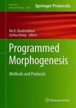 Programmed Morphogenesis
