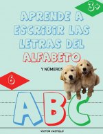 Aprende a Escribir las Letras del Alfabeto y Numeros-Libro Infantil (Letra Grande)