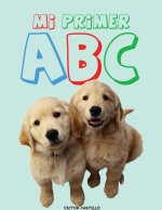 Mi Primer ABC (Impresion Gigante)