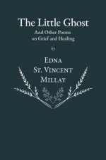 Little Ghost - And Other Poems on Grief and Healing
