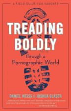 Treading Boldly through a Pornographic World