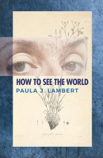 How to See the World: Poems