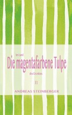 magentafarbene Tulpe