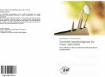 Diversite morphologique du tronc radiculaire