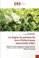 teigne de pomme de terre Phthorimaea operculella Zeller