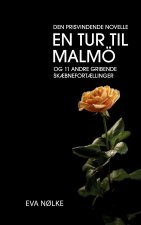 En tur til Malmoe