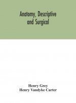 Anatomy, Descriptive and Surgical