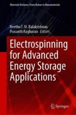 Electrospinning for Advanced Energy Storage Applications