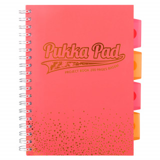 Kołozeszyt B5 Pukka Pad Project Book Blush koralowy kratka