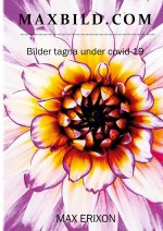 MAXBILD.COM